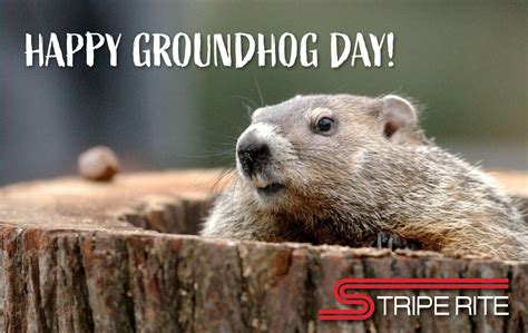 Groundhog Day 2025 watch